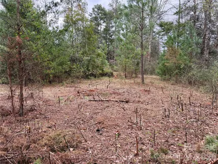 $100,000 | 3 Dola Ray Place, Unit 3, Stanley, NC 28164