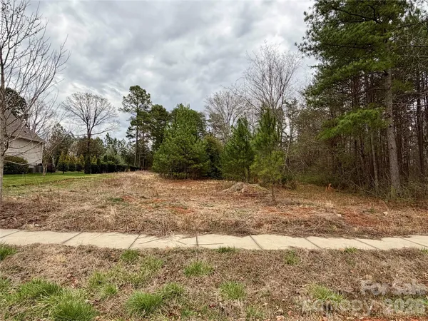 a view of a yard with trees