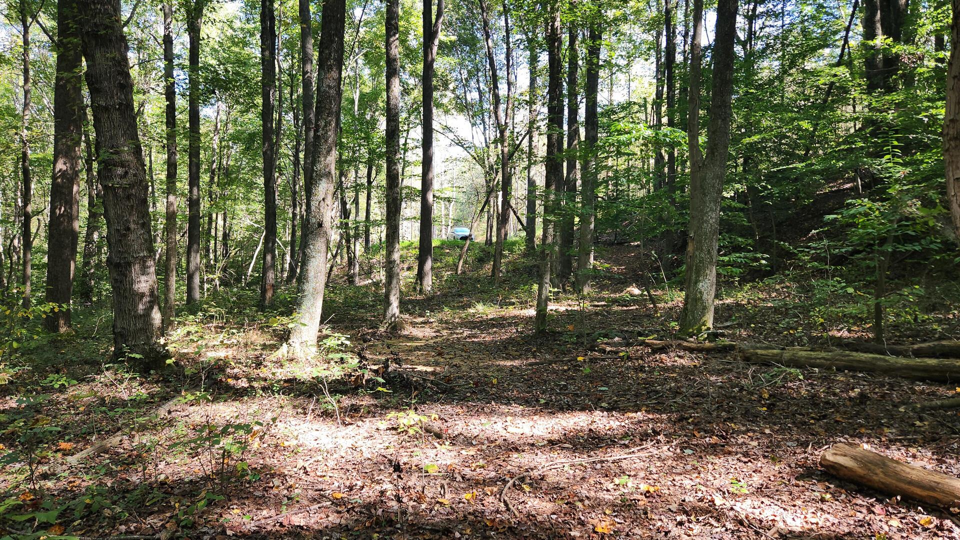 871 Poplar Ridge Road, Unit PONDS POPLAR RIDGE TRACT 13) Gallipolis, OH 45631 - Photo 10 of 36 CT-10