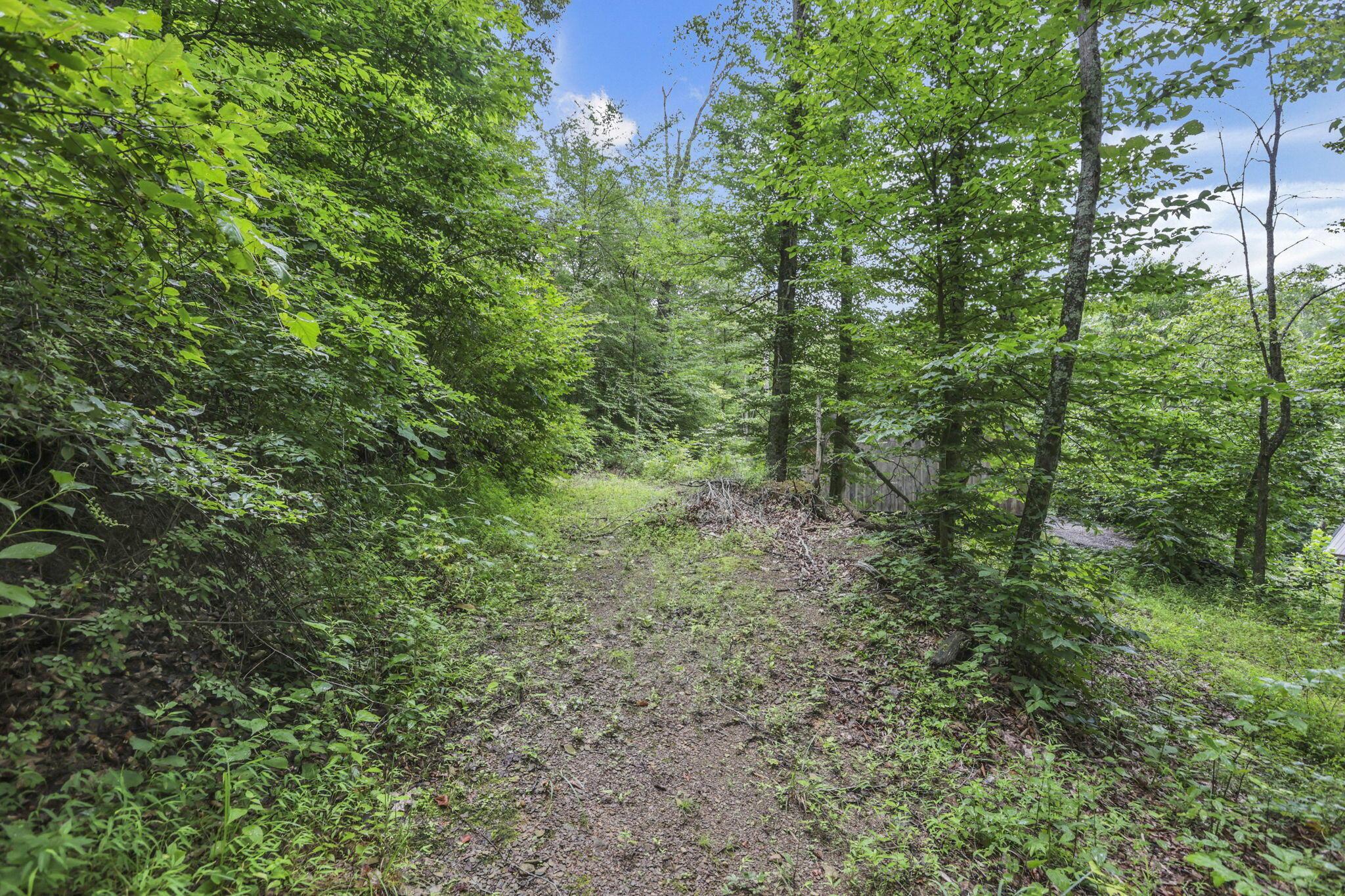 0 Greens Run Road Glouster, OH 45732 - Photo 116 of 121 116-web-or-mls-LO5A2126