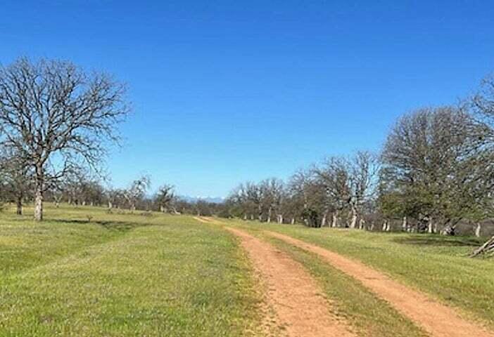 Lot 2 Rhonda Road Anderson, CA 96007 - Photo 4 of 15 20240731224038583323000000-o