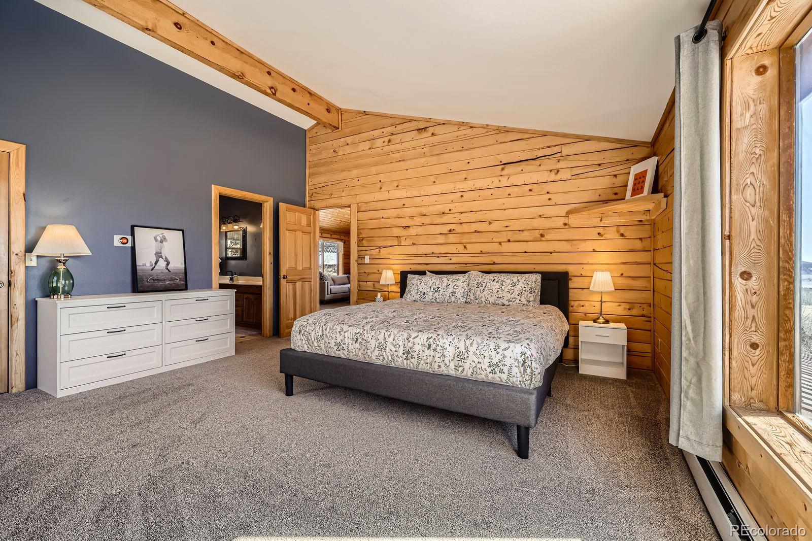 201 Lumberjack Road Fairplay, CO 80440 - Photo 22 of 30 Gallery Image 22