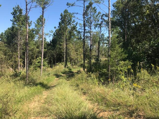 28 Athens Road Calhoun, TN 37309 - Photo 2 of 15 CHestuee 28 line
