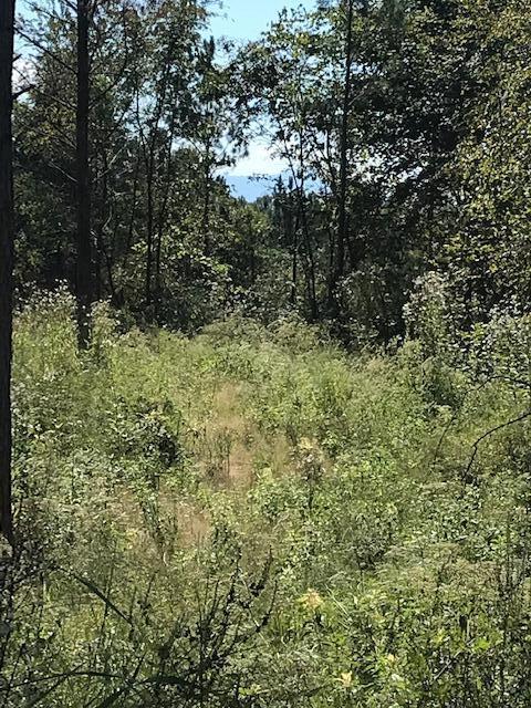 28 Athens Road Calhoun, TN 37309 - Photo 10 of 15 Chestuee 28 2