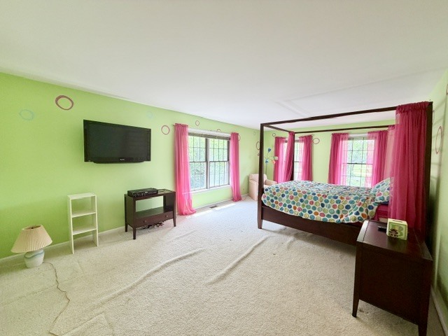 11-n071 Johnstoun Road Elgin, IL 60124 - Photo 63 of 90