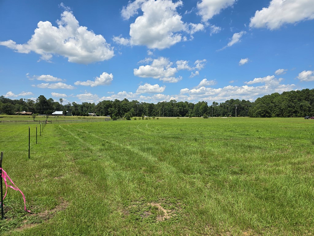 1.43-acres Sage Road Ashford, AL 36312 - Photo 3 of 9