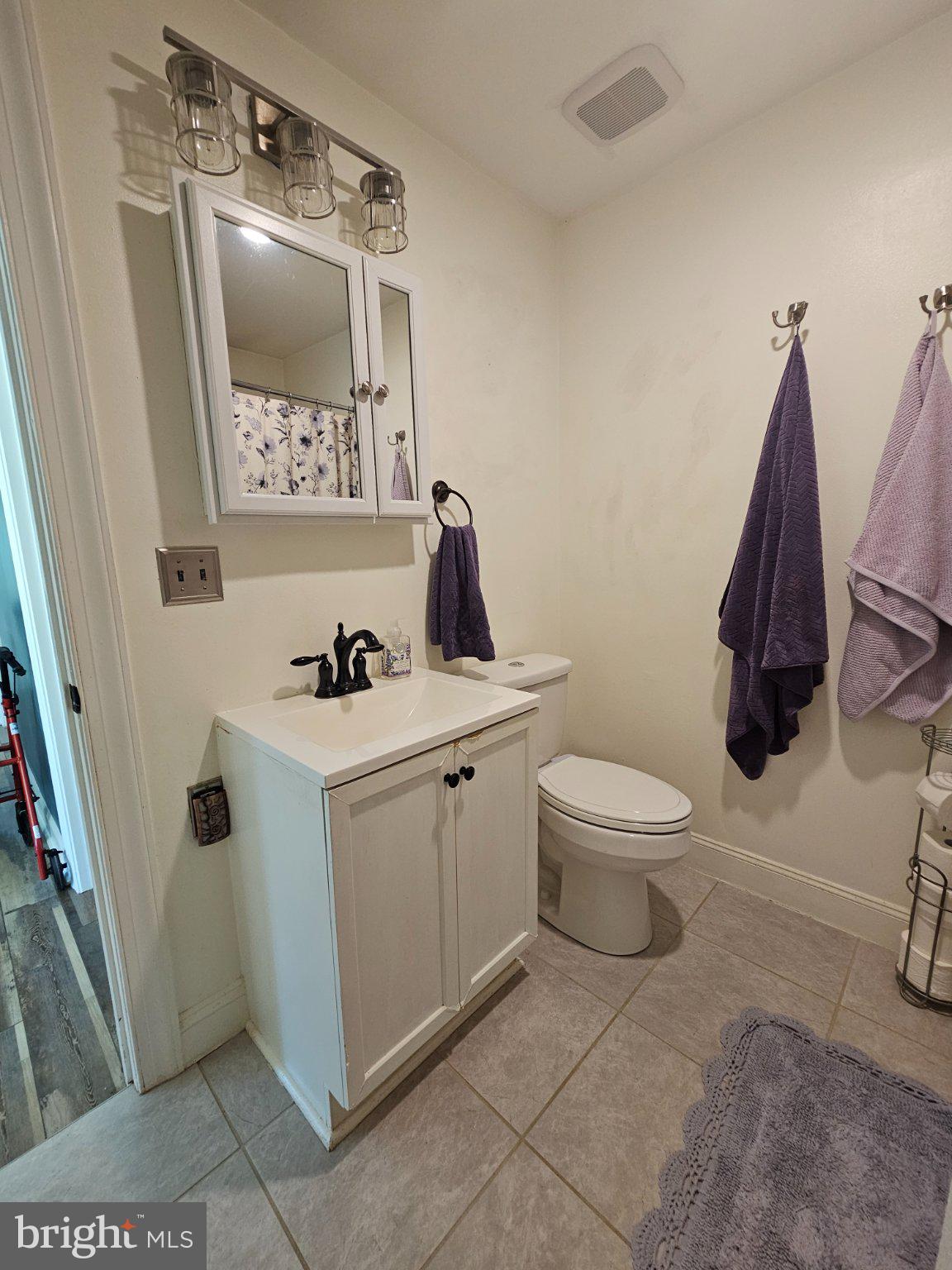 32 Parnassus Road Linden, VA 22642 - Photo 25 of 50 Charming bathroom with modern touches.