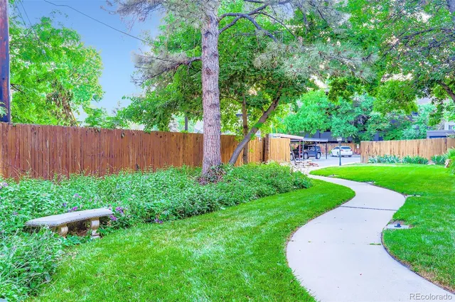 a view of a garden with a bench in the back yard