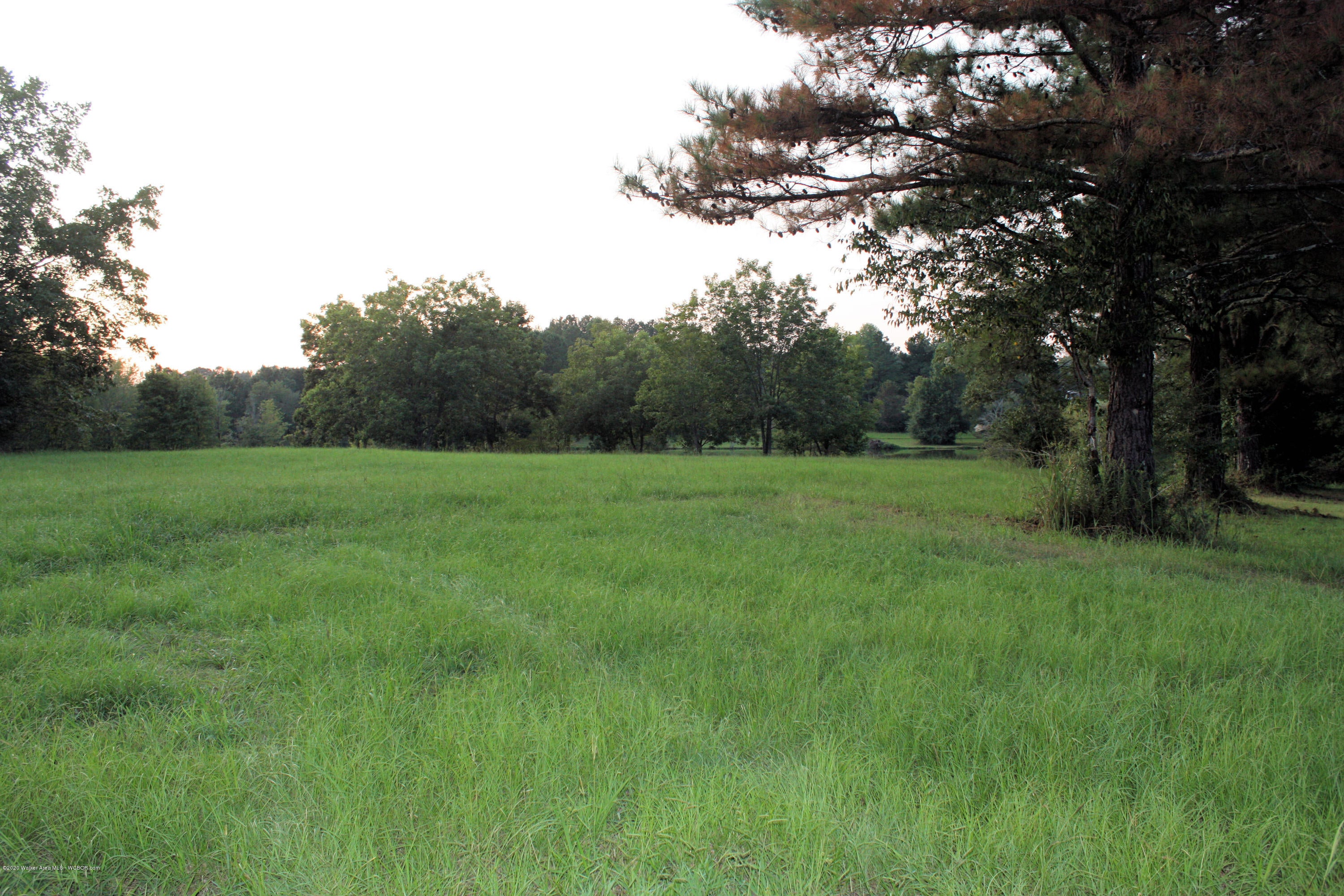 Rose Road Nauvoo, AL 35578 - Photo 2 of 12 Gallery Image 2