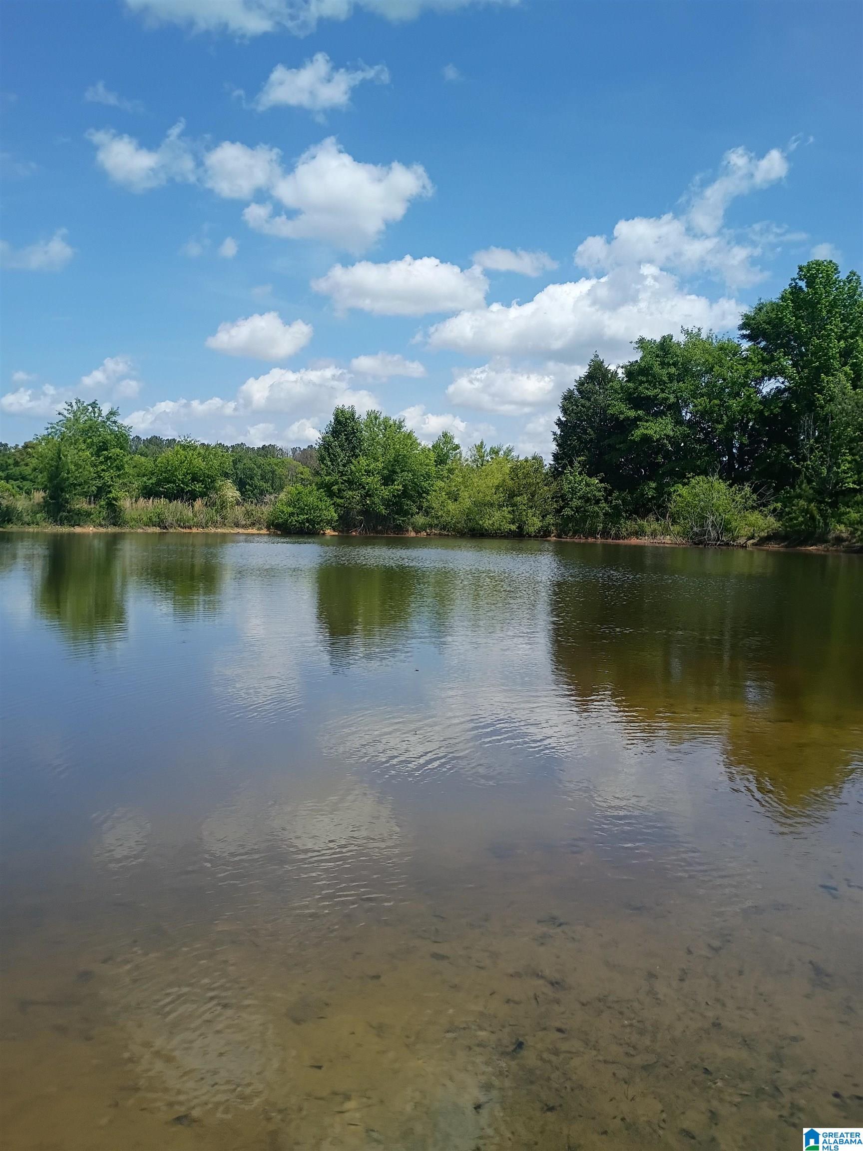3664 Joe Lee Road Talladega, AL 35160 - Photo 27 of 46