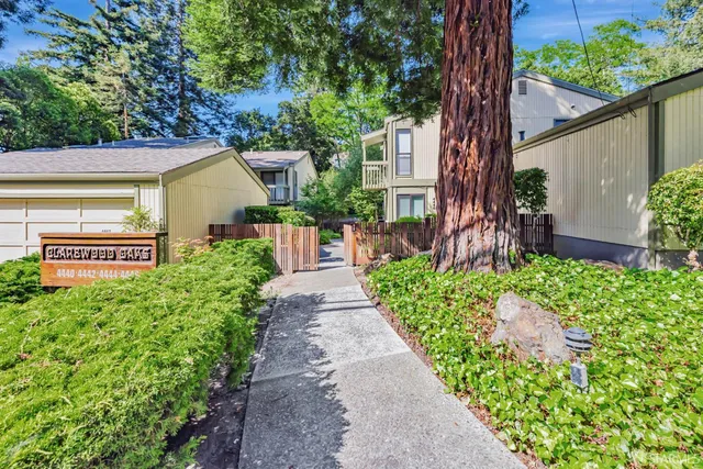 a view of a garden with pathway