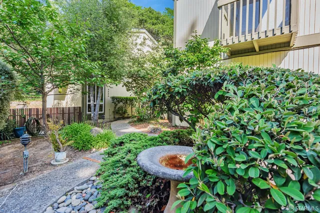 a view of a backyard with plants and a fountain