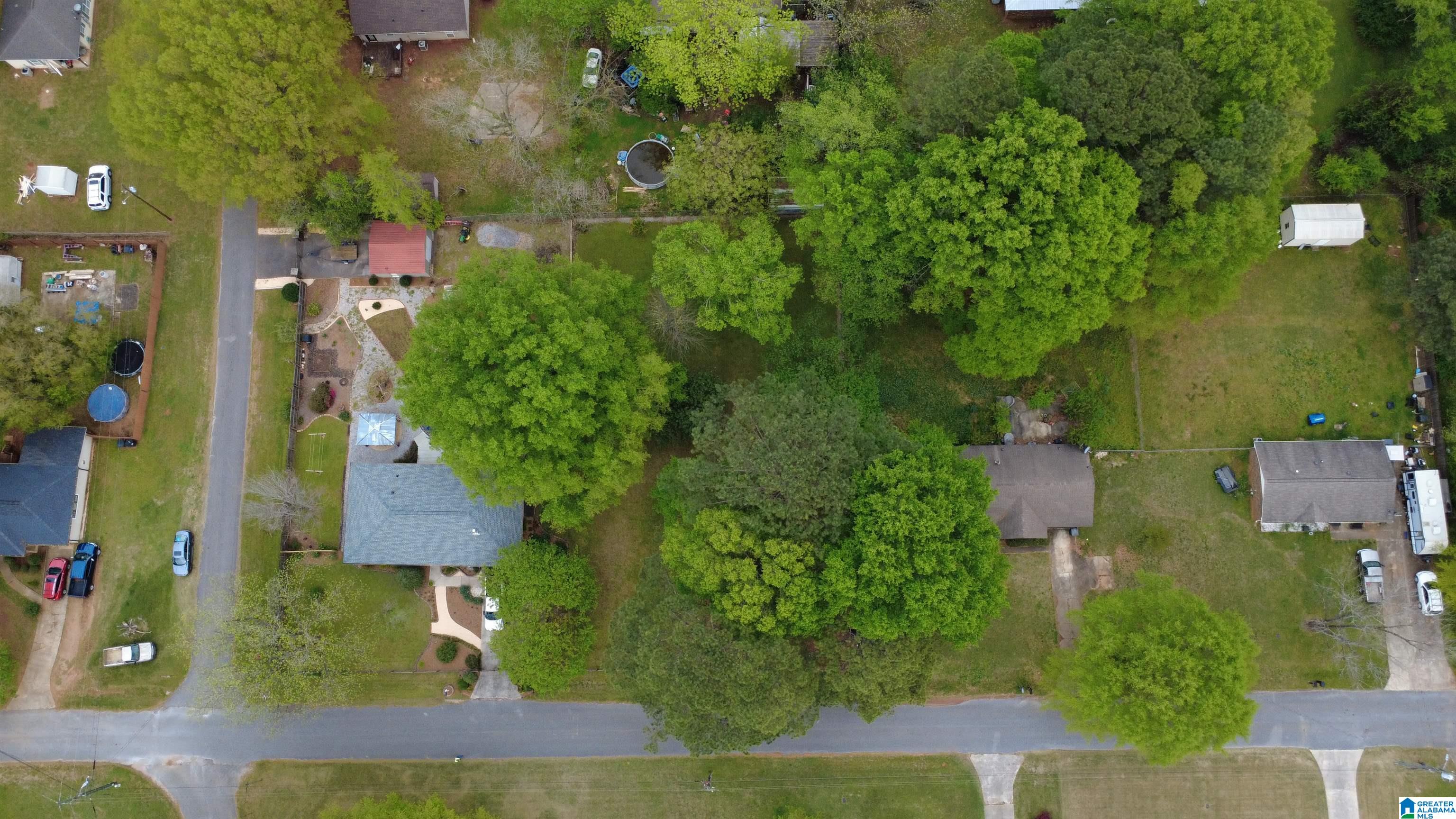 0 Strother Street Montevallo, AL 35115 - Photo 6 of 25