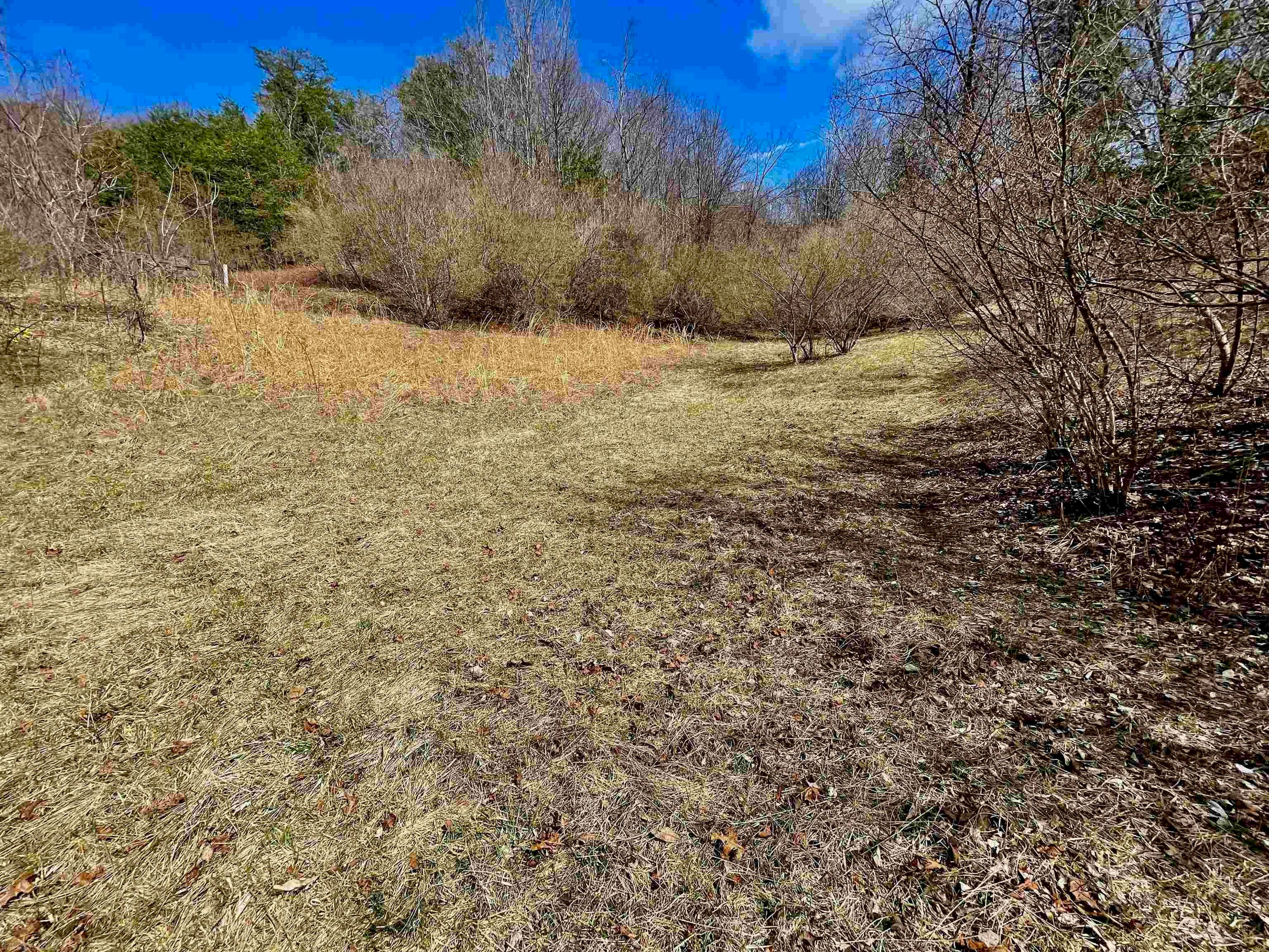 582 Bethlehem Church Road Northeast Floyd, VA 24091 - Photo 13 of 23 Gallery Image 13