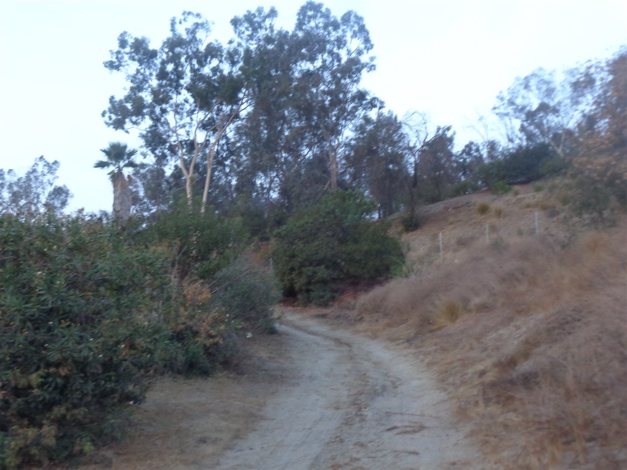 610 Ranger Road Fallbrook, CA 92028 - Photo 1 of 24 Sweeping driveway