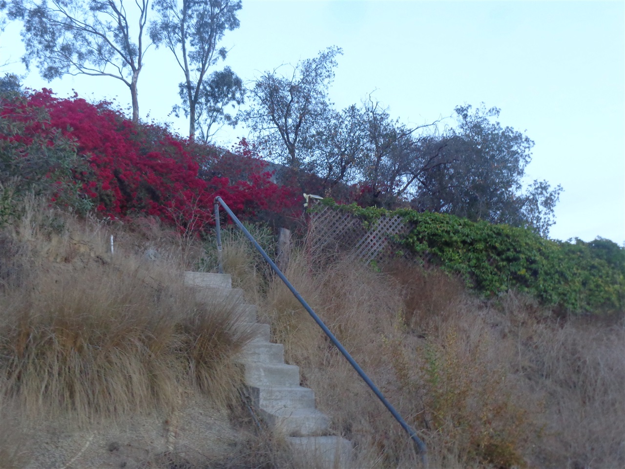 610 Ranger Road Fallbrook, CA 92028 - Photo 13 of 24 Stairs down to the secondary pad