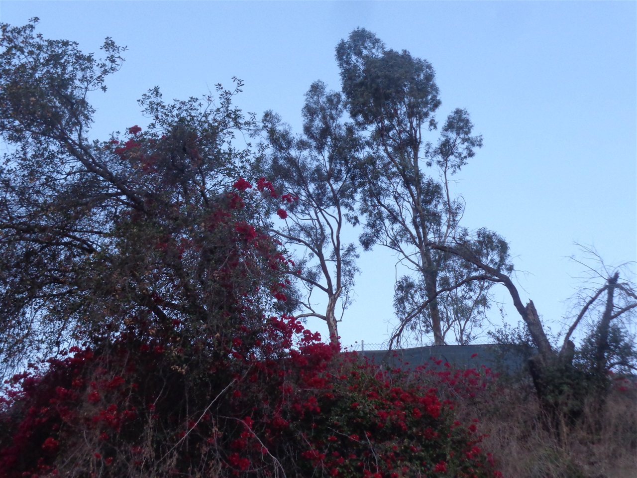 610 Ranger Road Fallbrook, CA 92028 - Photo 20 of 24