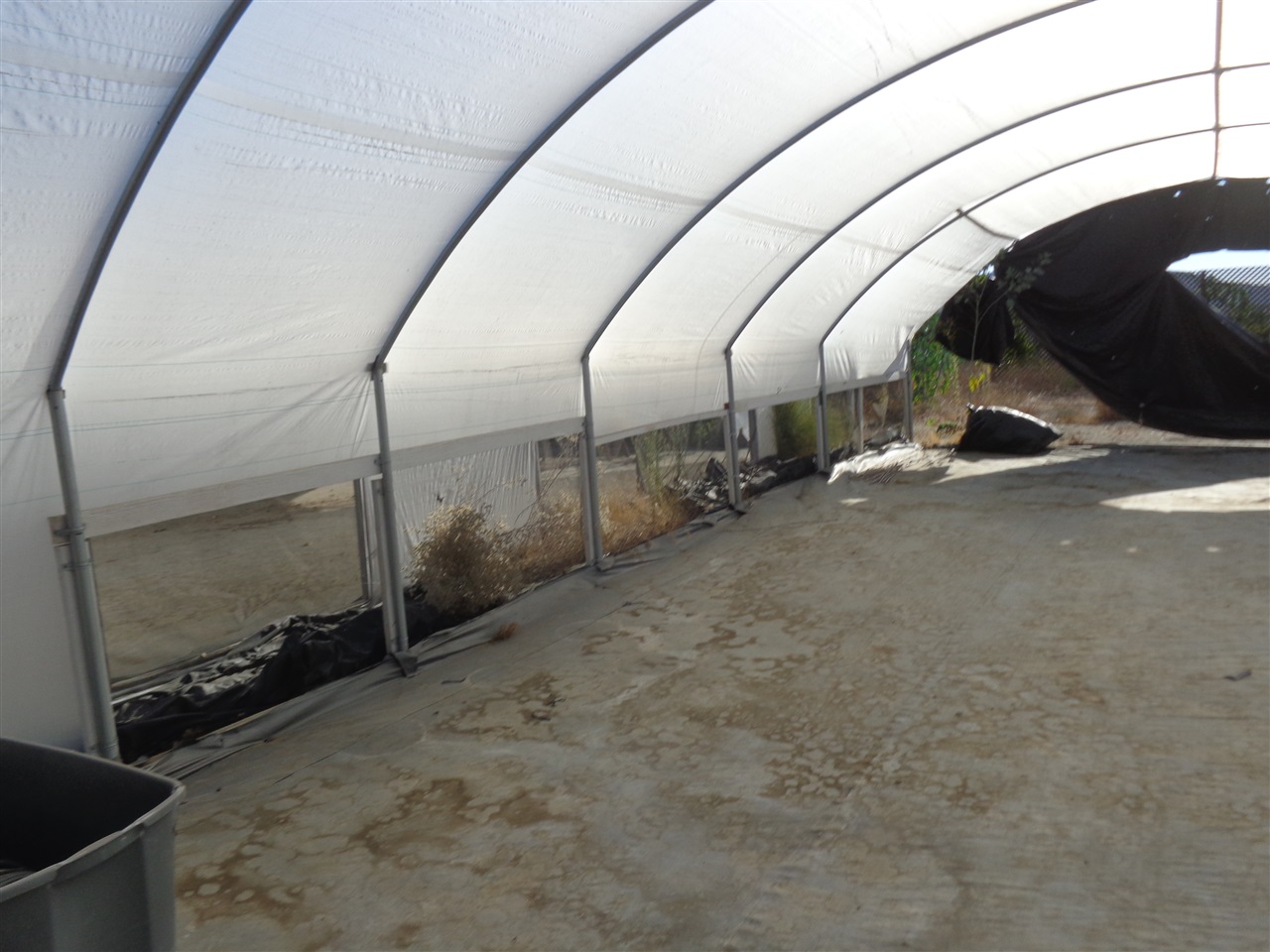 610 Ranger Road Fallbrook, CA 92028 - Photo 3 of 24 One of the greenhouses