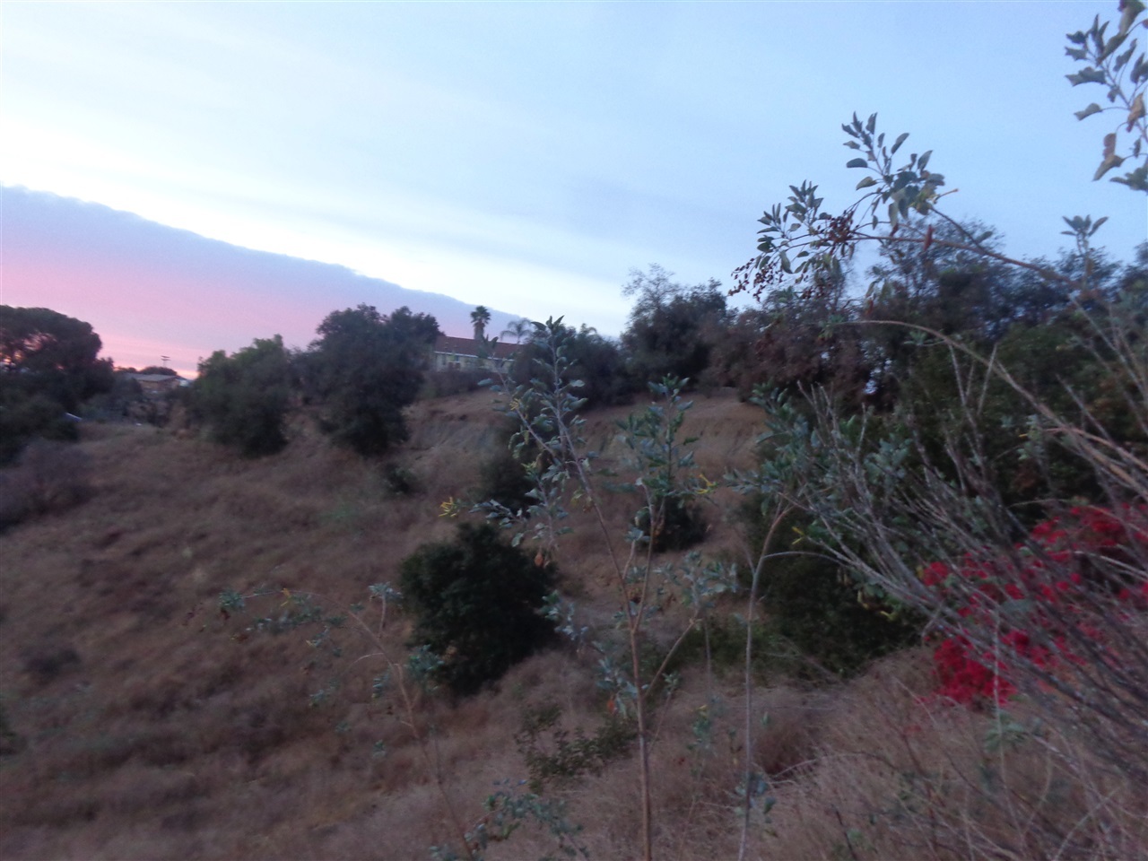 610 Ranger Road Fallbrook, CA 92028 - Photo 21 of 24
