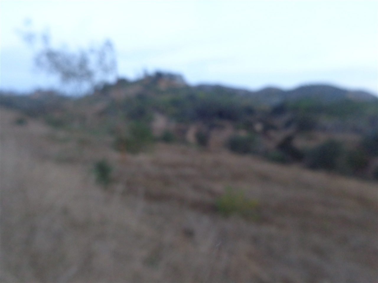 610 Ranger Road Fallbrook, CA 92028 - Photo 8 of 24 Huge flat area is big enough for a horse riding arena & stables