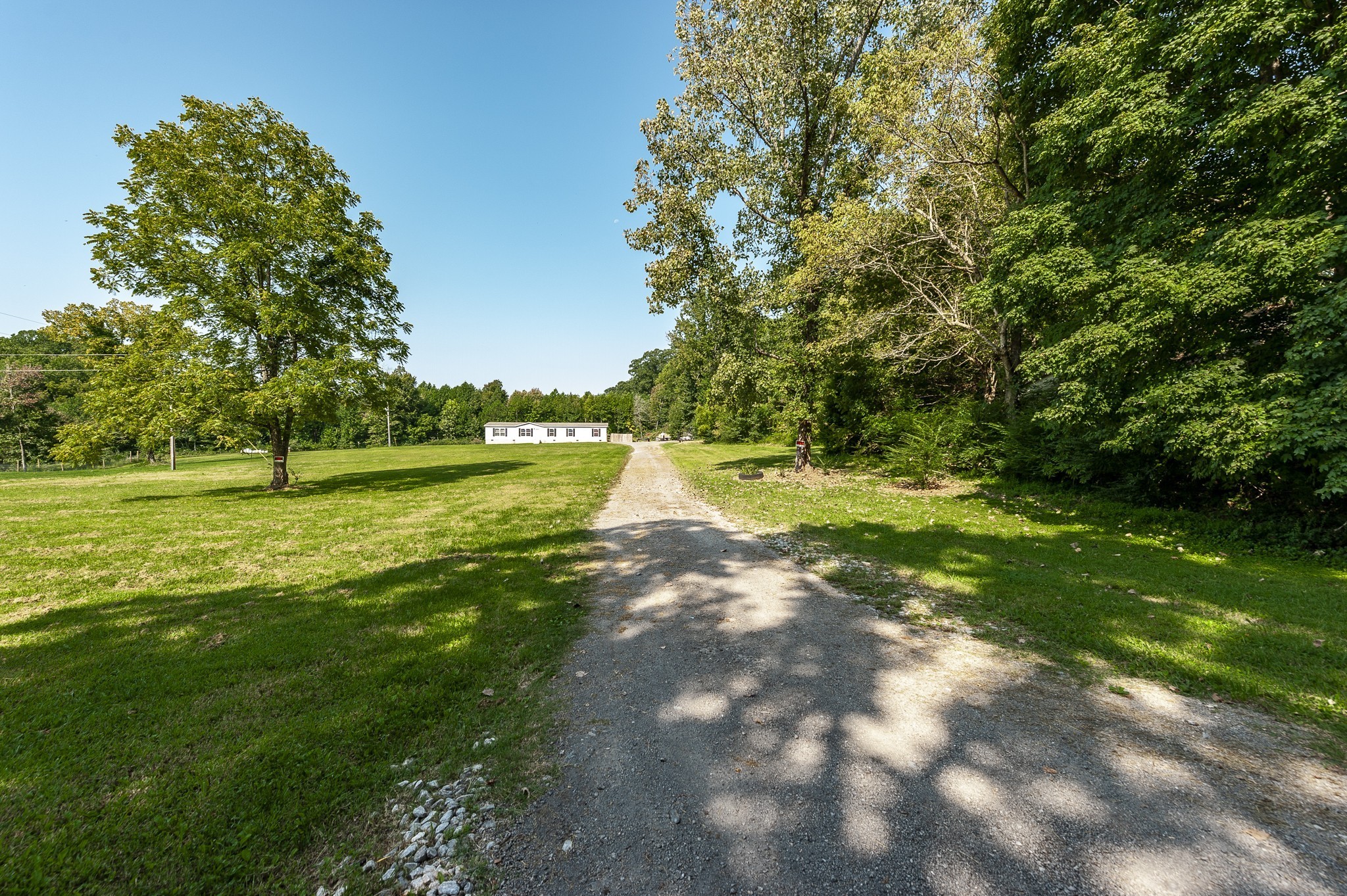 537 Bob Perry Road Bethpage, TN 37022 - Photo 2 of 63 a view of a trees with a yard