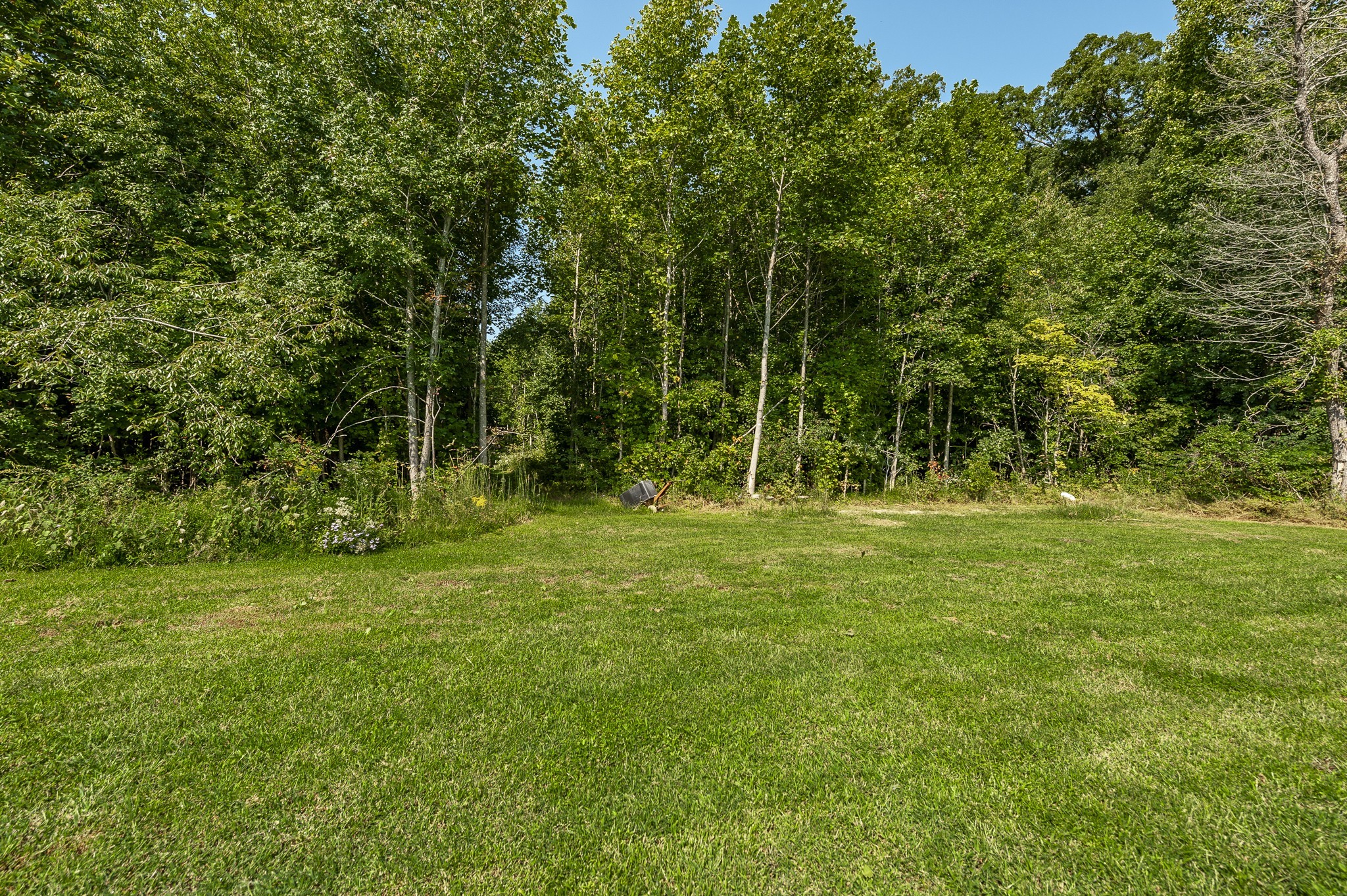 537 Bob Perry Road Bethpage, TN 37022 - Photo 54 of 63 a view of outdoor space with trees all around