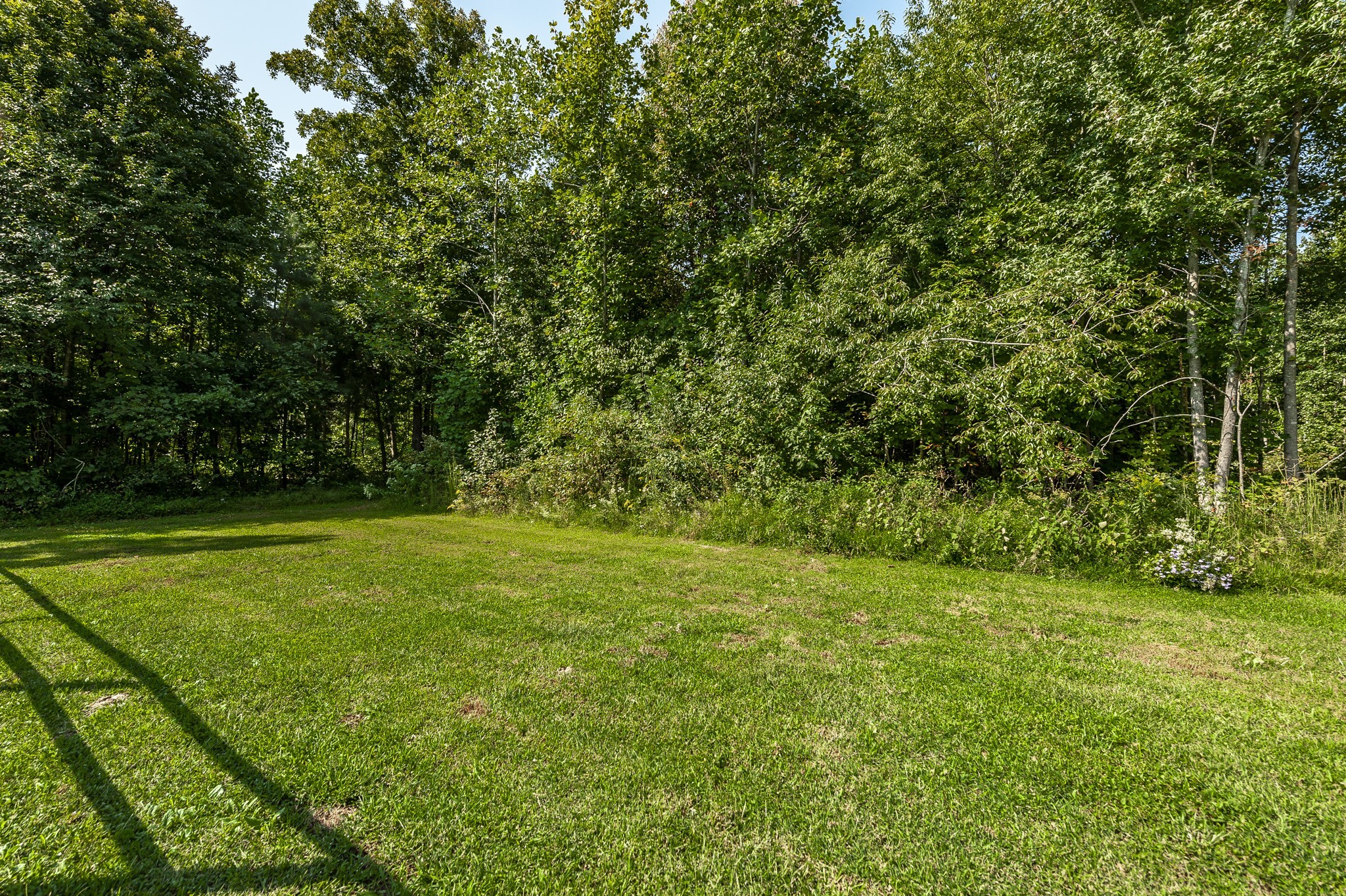 537 Bob Perry Road Bethpage, TN 37022 - Photo 55 of 63 a view of a grassy field with trees