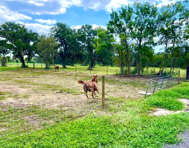 $1,400,000 | 4239 County Road 348, Brazoria, TX 77422