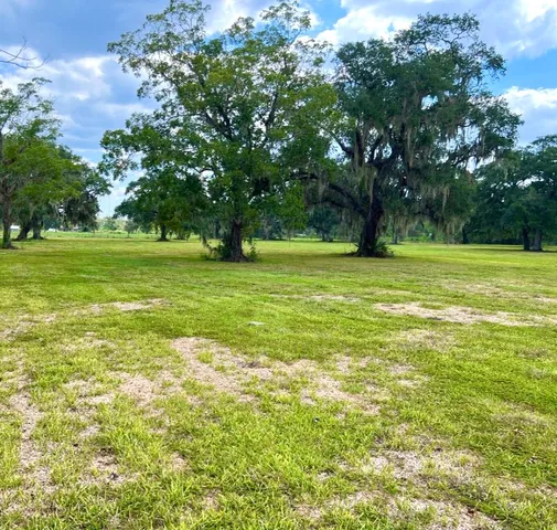 $1,400,000 | 4239 County Road 348, Brazoria, TX 77422