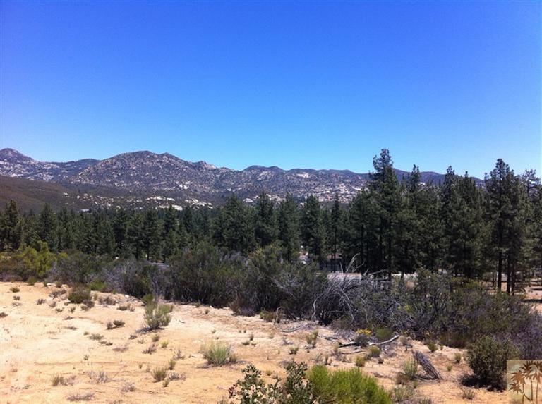 13 Devils Ladder Road Mountain Center, CA 92561 - Photo 1 of 5 a view of a large tree with a yard