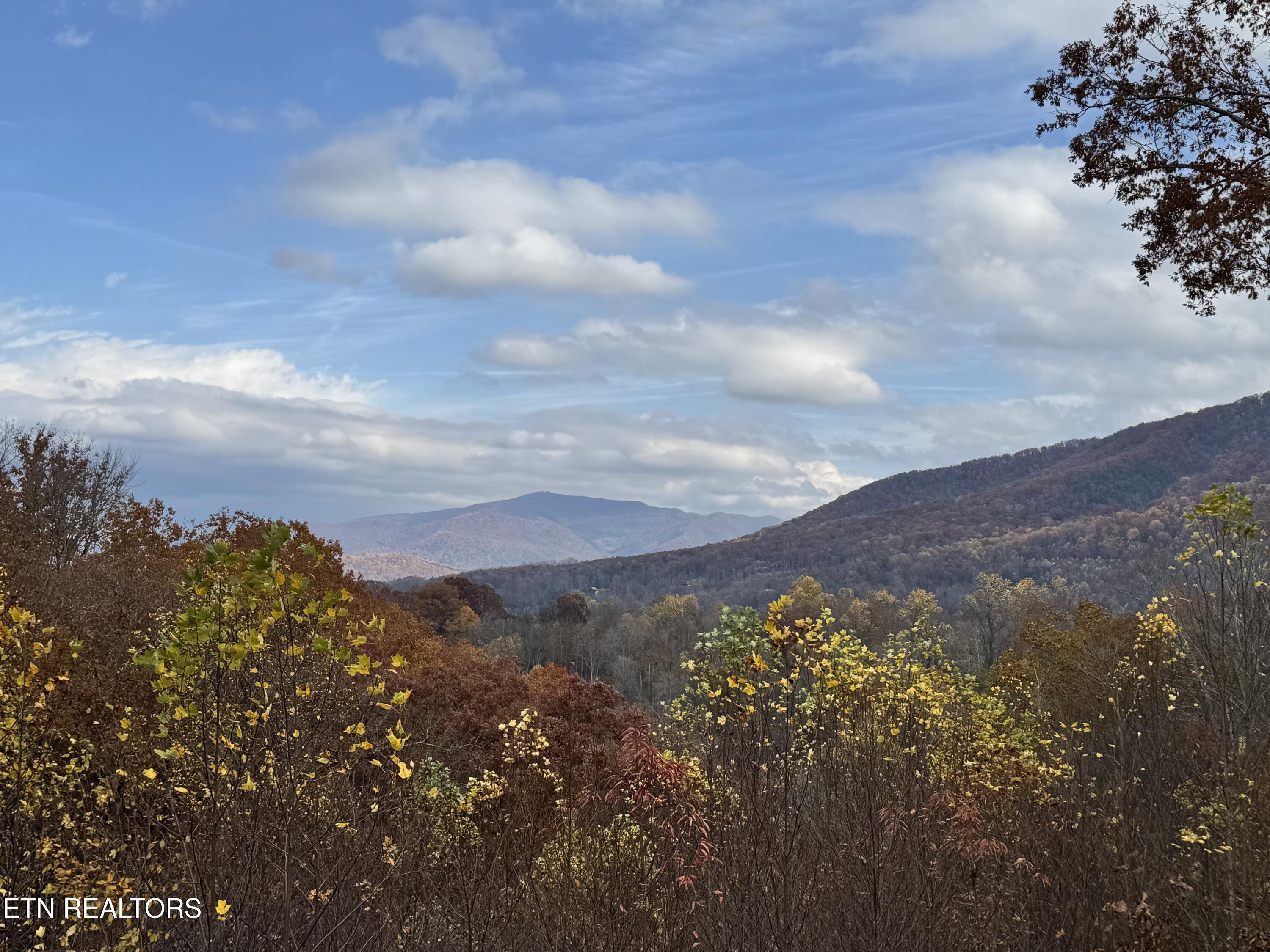414 Gold Road Cosby, TN 37722 - Photo 51 of 58 414 Gold Rd seasonal 11-09-25