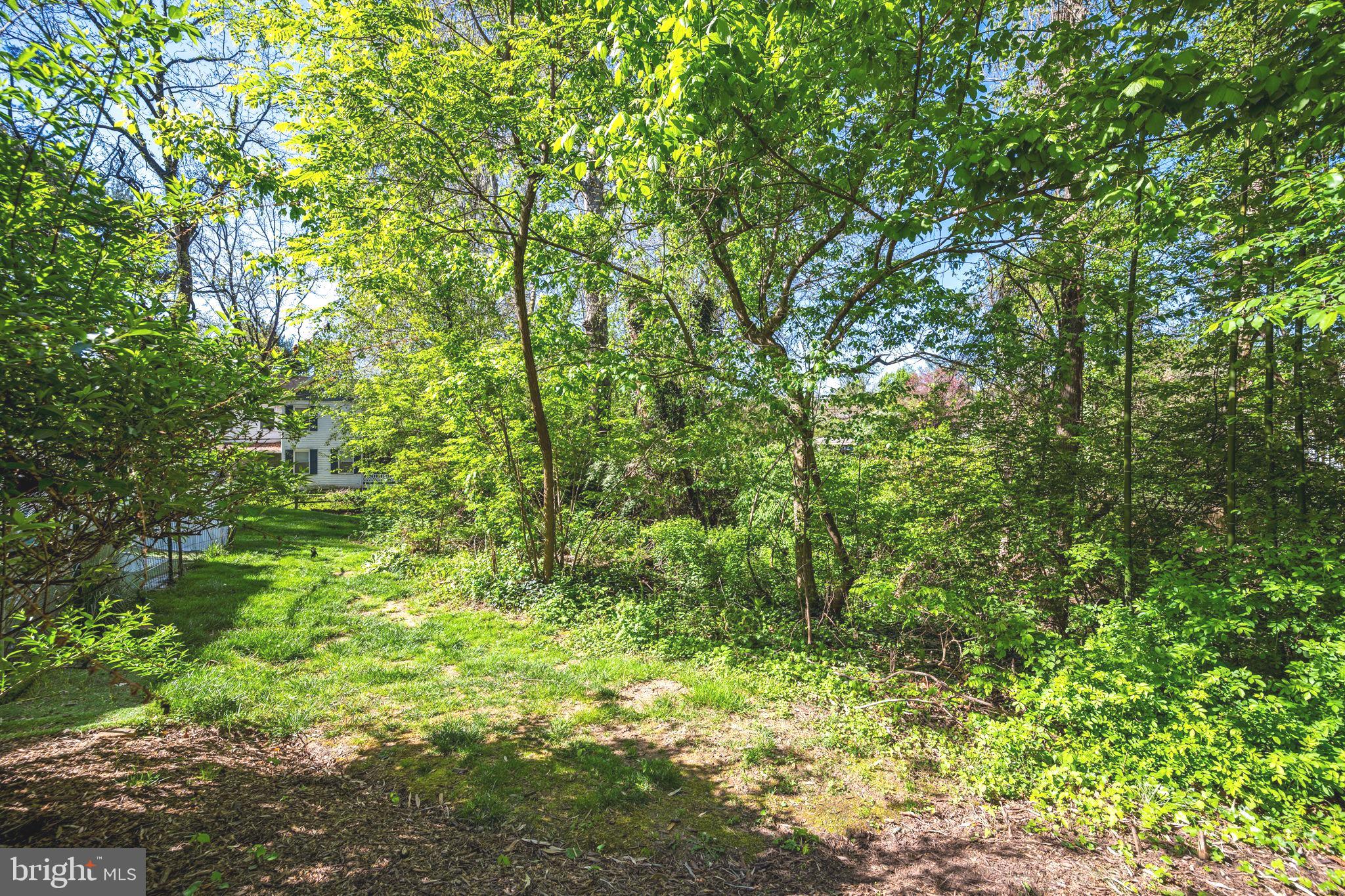 1705 Ivy Oak Square Reston, VA 20190 - Photo 33 of 36 Backs to Trees