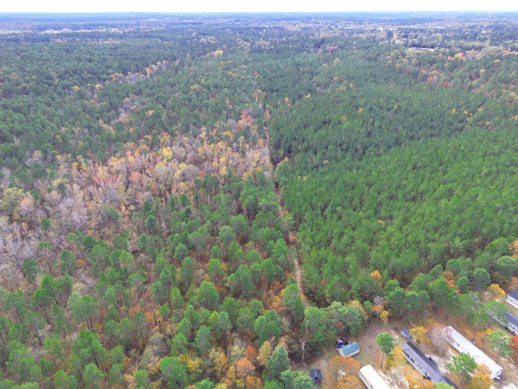473 Talatha Church Road Aiken, SC 29803 - Photo 13 of 16 aerial 13