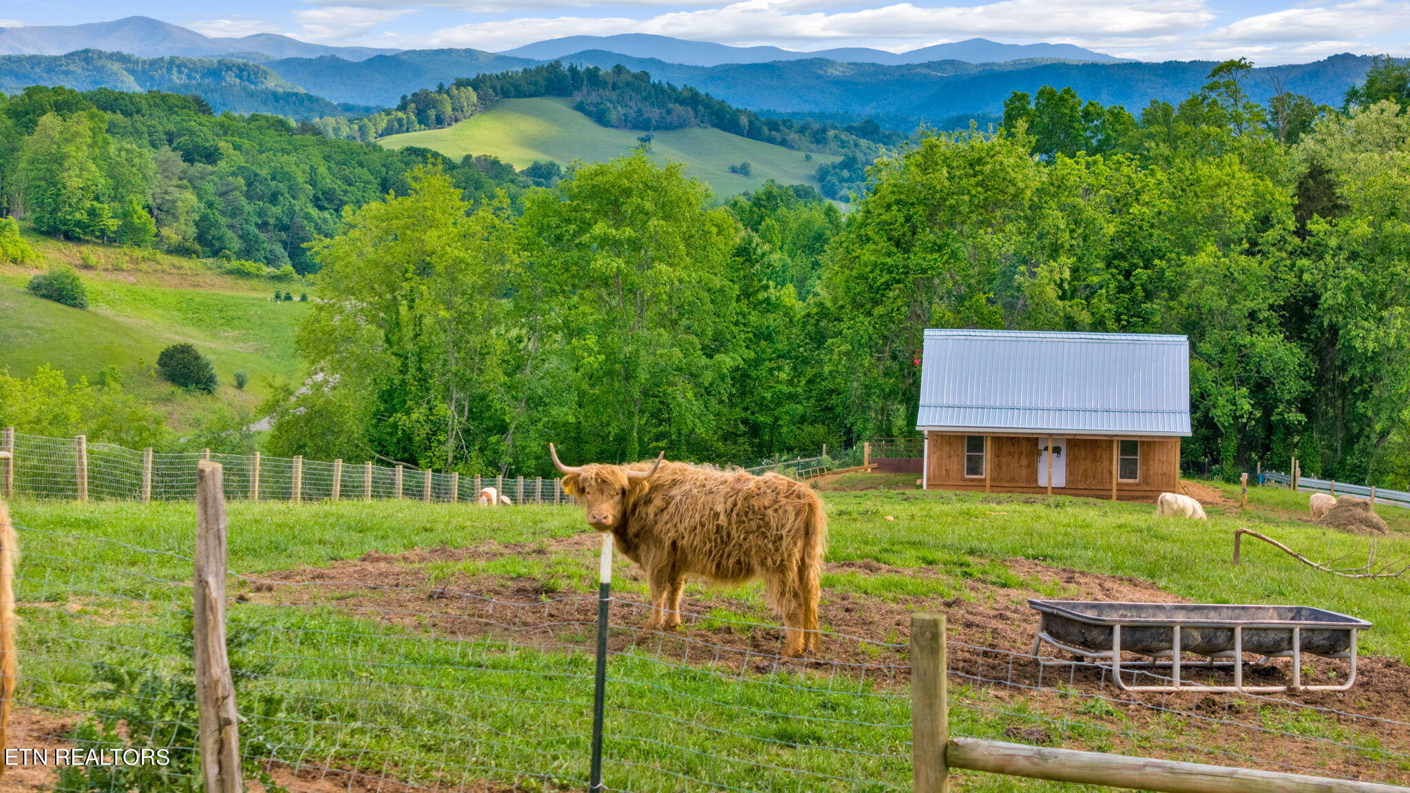 636 Dry Hill Road Butler, TN 37640 - Photo 6 of 51 IMG_3300