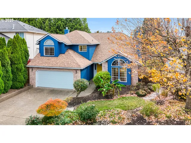 a aerial view of a house with a yard and potted plants