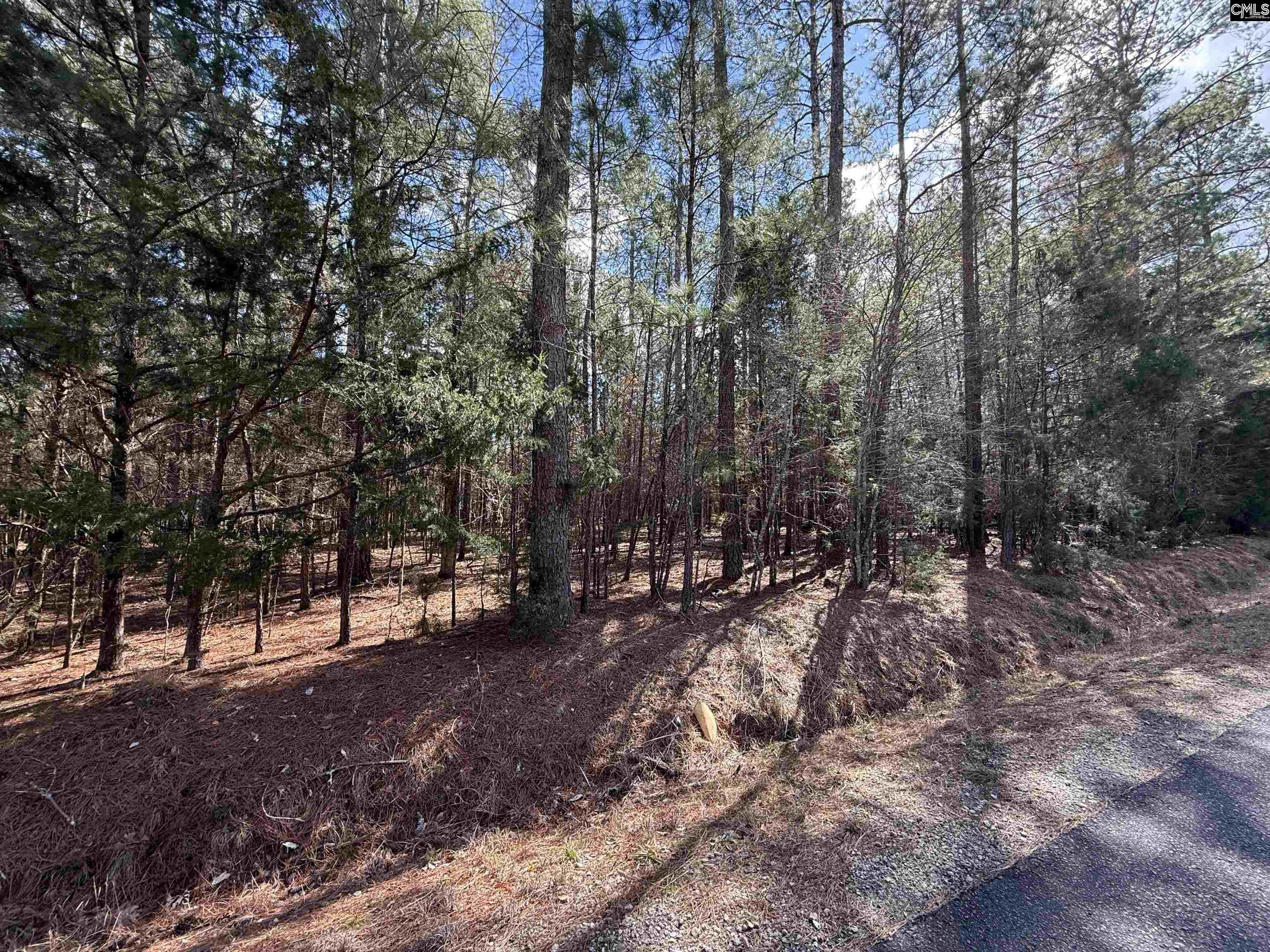 0 Ruby Riser Road Batesburg, SC 29006 - Photo 2 of 2