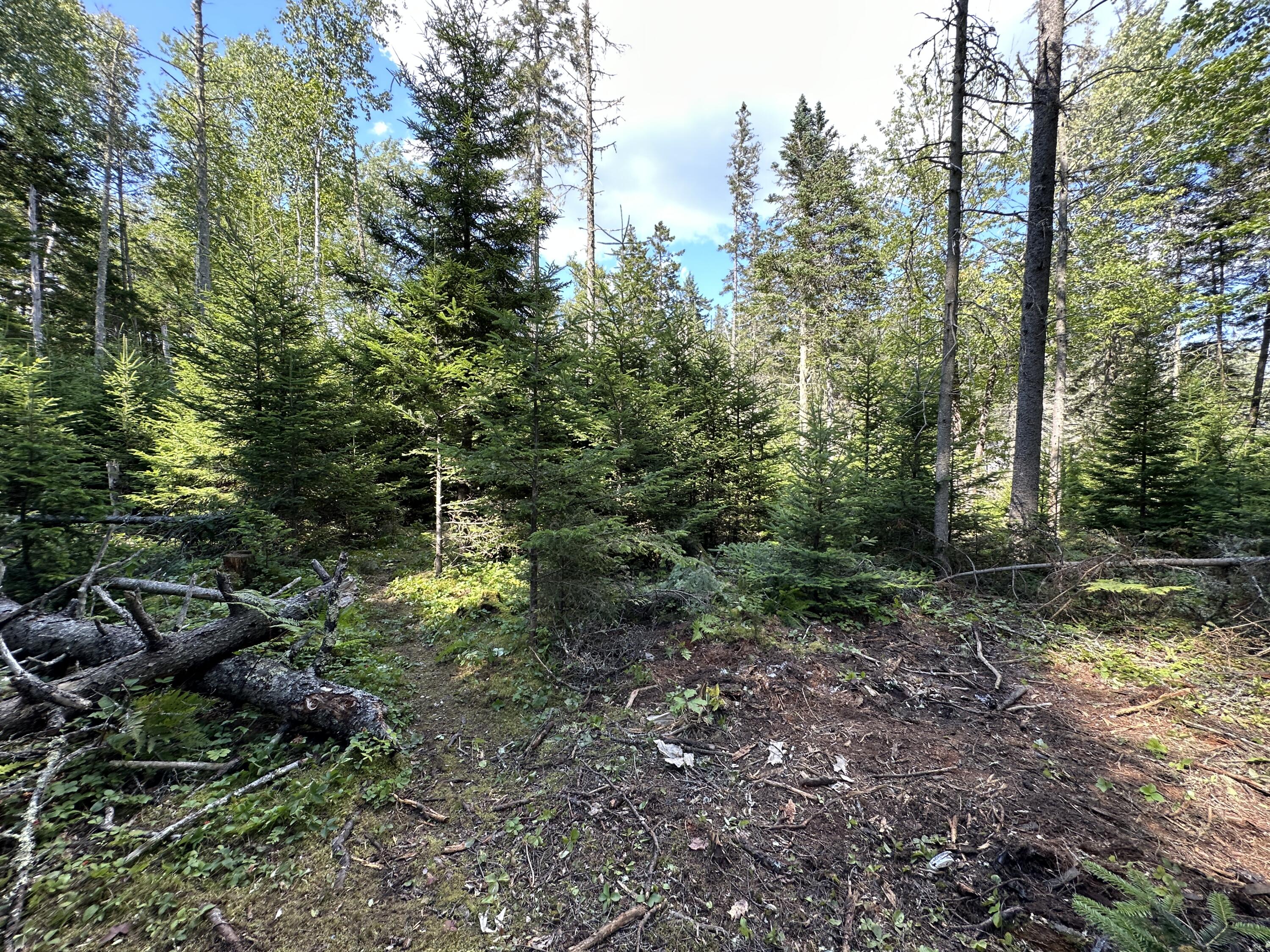 31 Fay Road Spruce Head, ME 04859 - Photo 27 of 77 IMG_0548
