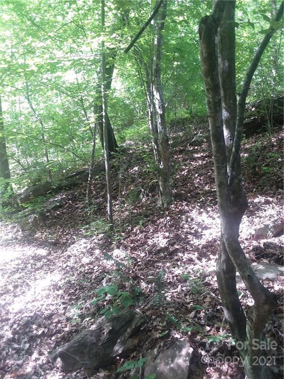 133 Jim Patterson Road Kings Mountain, NC 28086 - Photo 3 of 19 a backyard of a house