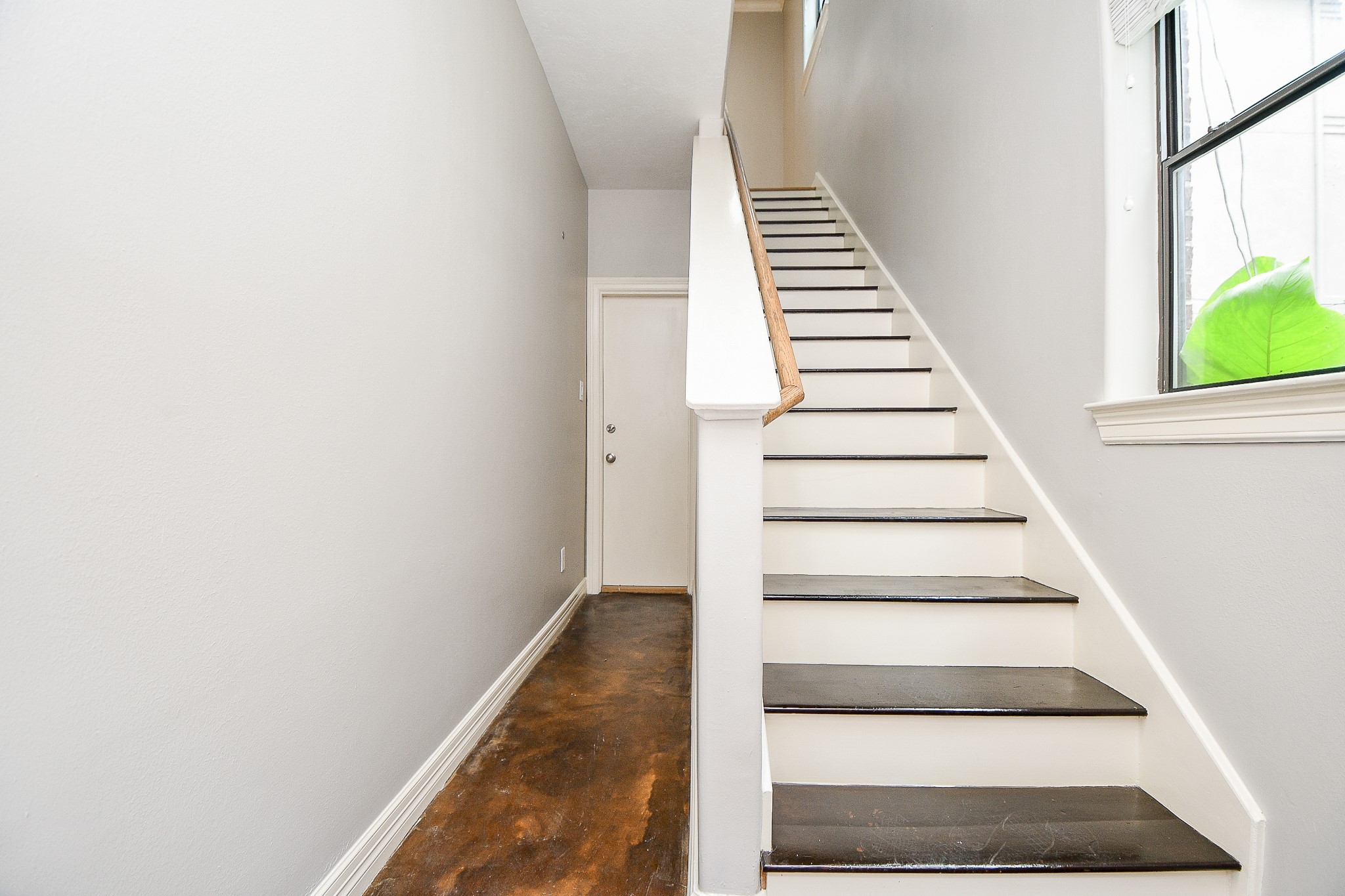 118 McGowen Street, Unit K Houston, TX 77006 - Photo 6 of 32 refinsihed wood stairs and stain concrete floor at the entry