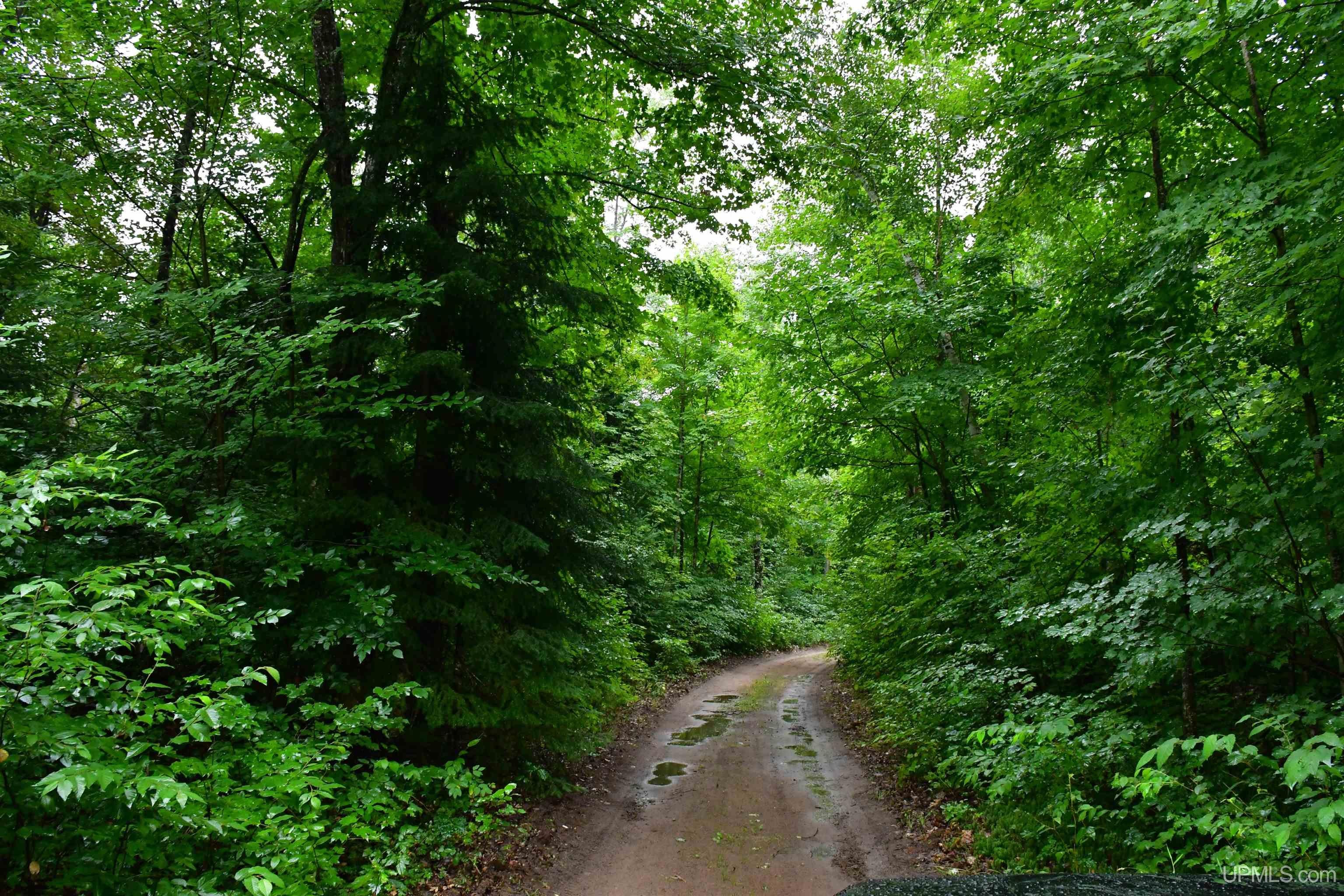 23 East 23 Mile Road Pickford, MI 49774 - Photo 22 of 27 Gallery Image 22