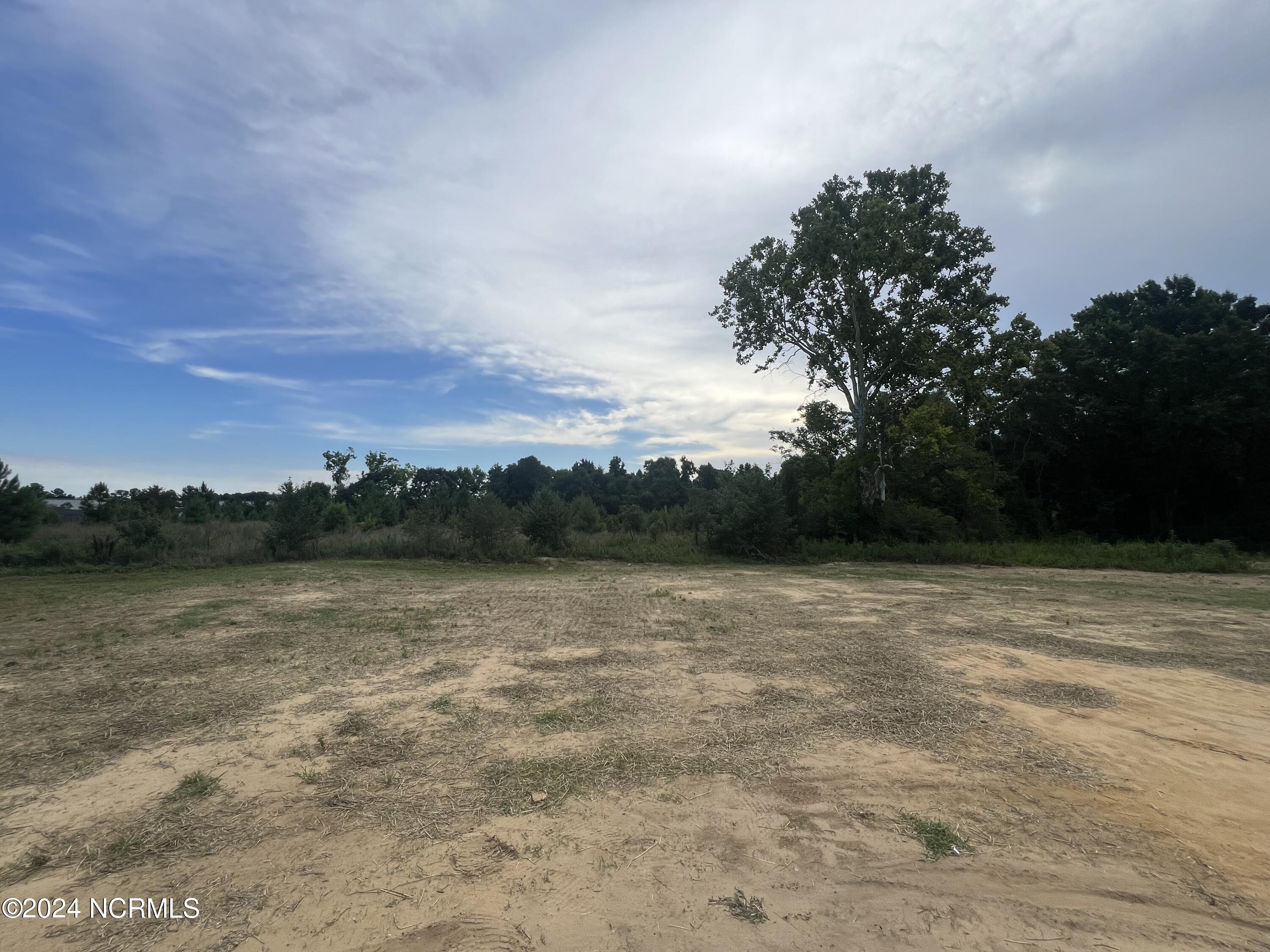 128 Fireside Drive Benson, NC 27504 - Photo 22 of 23 IMG_0988