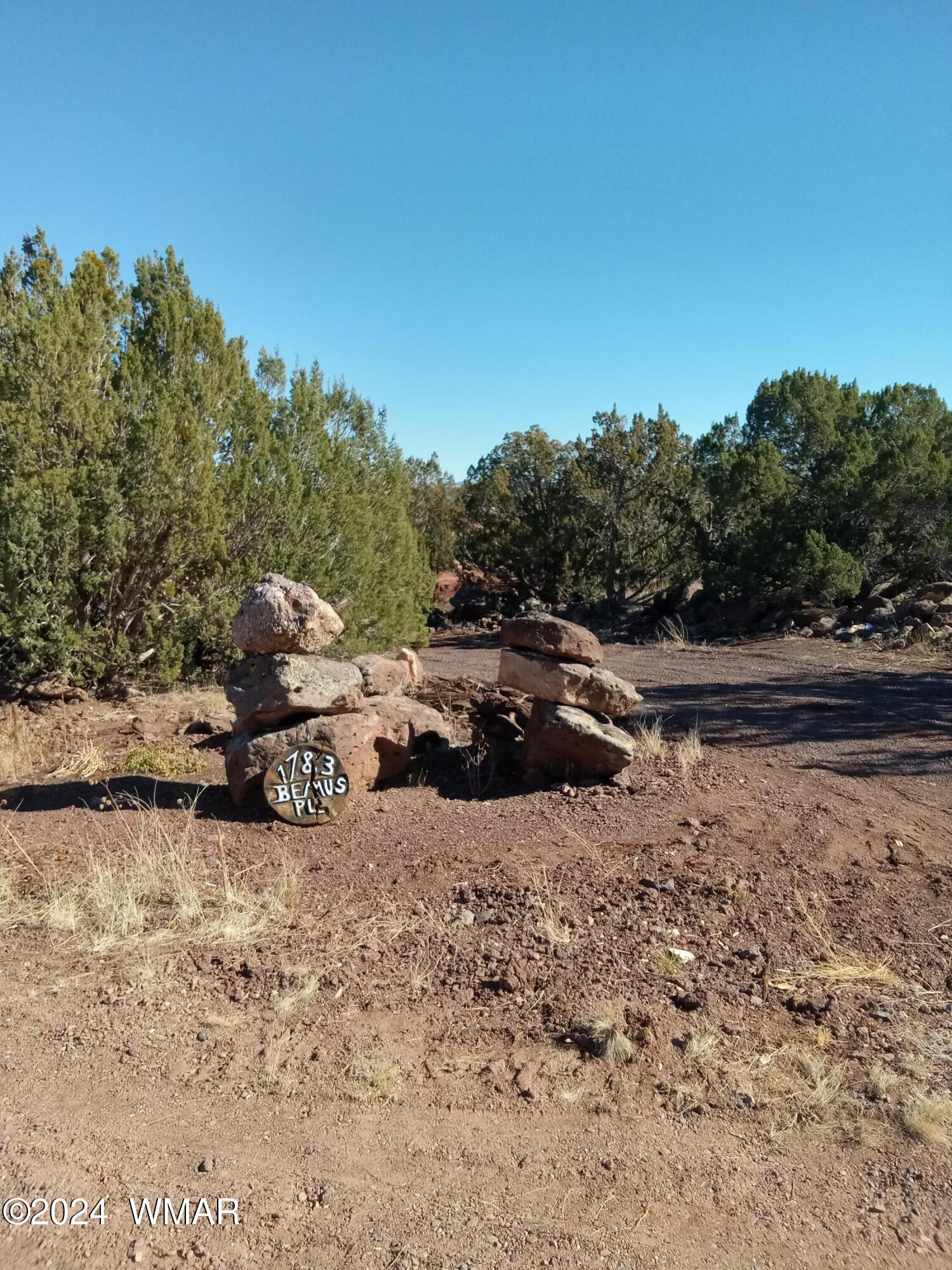 1783 Bemus Place Show Low, AZ 85901 - Photo 1 of 11 20241109_131322
