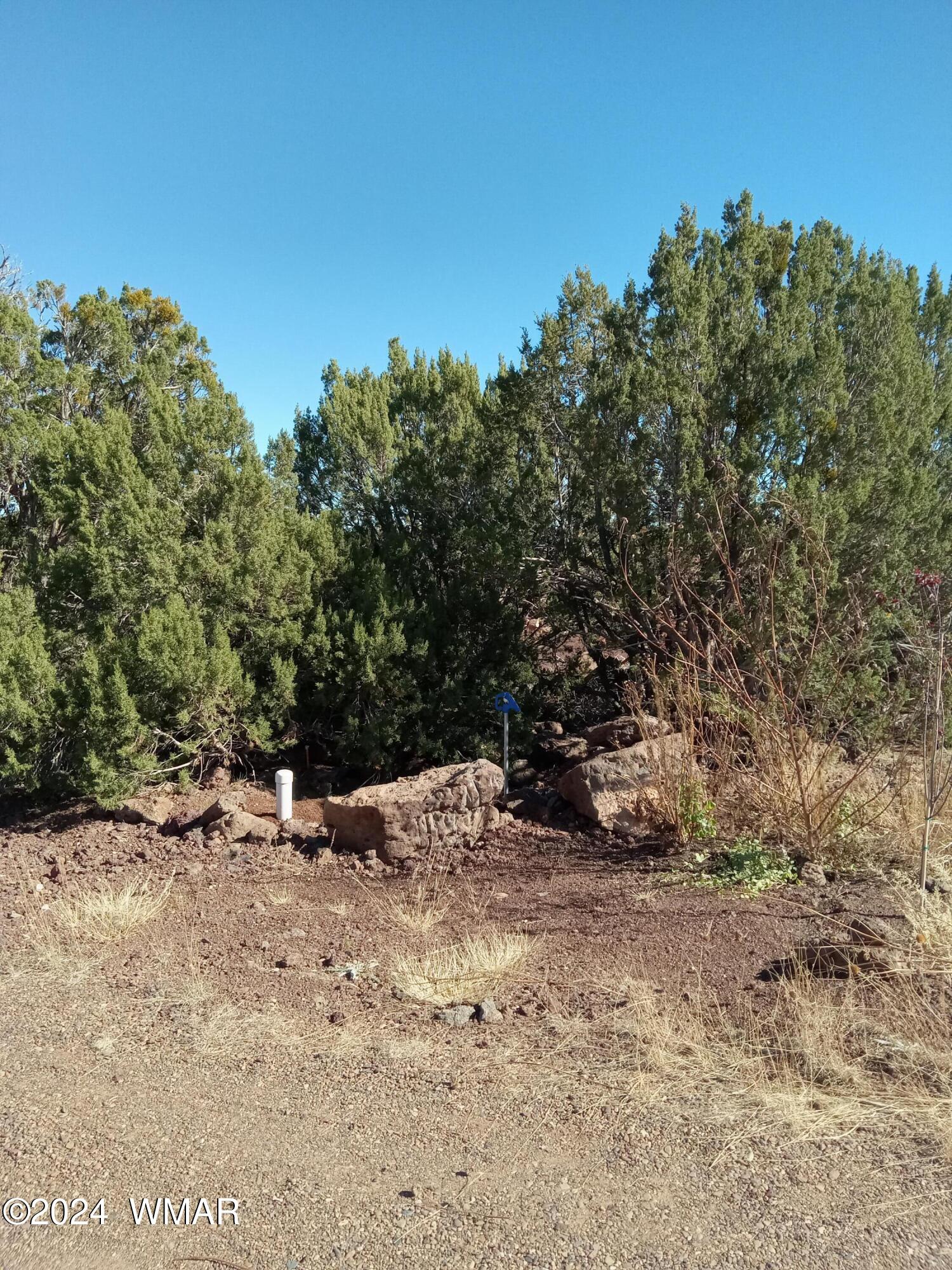 1783 Bemus Place Show Low, AZ 85901 - Photo 11 of 11 20241109_131705