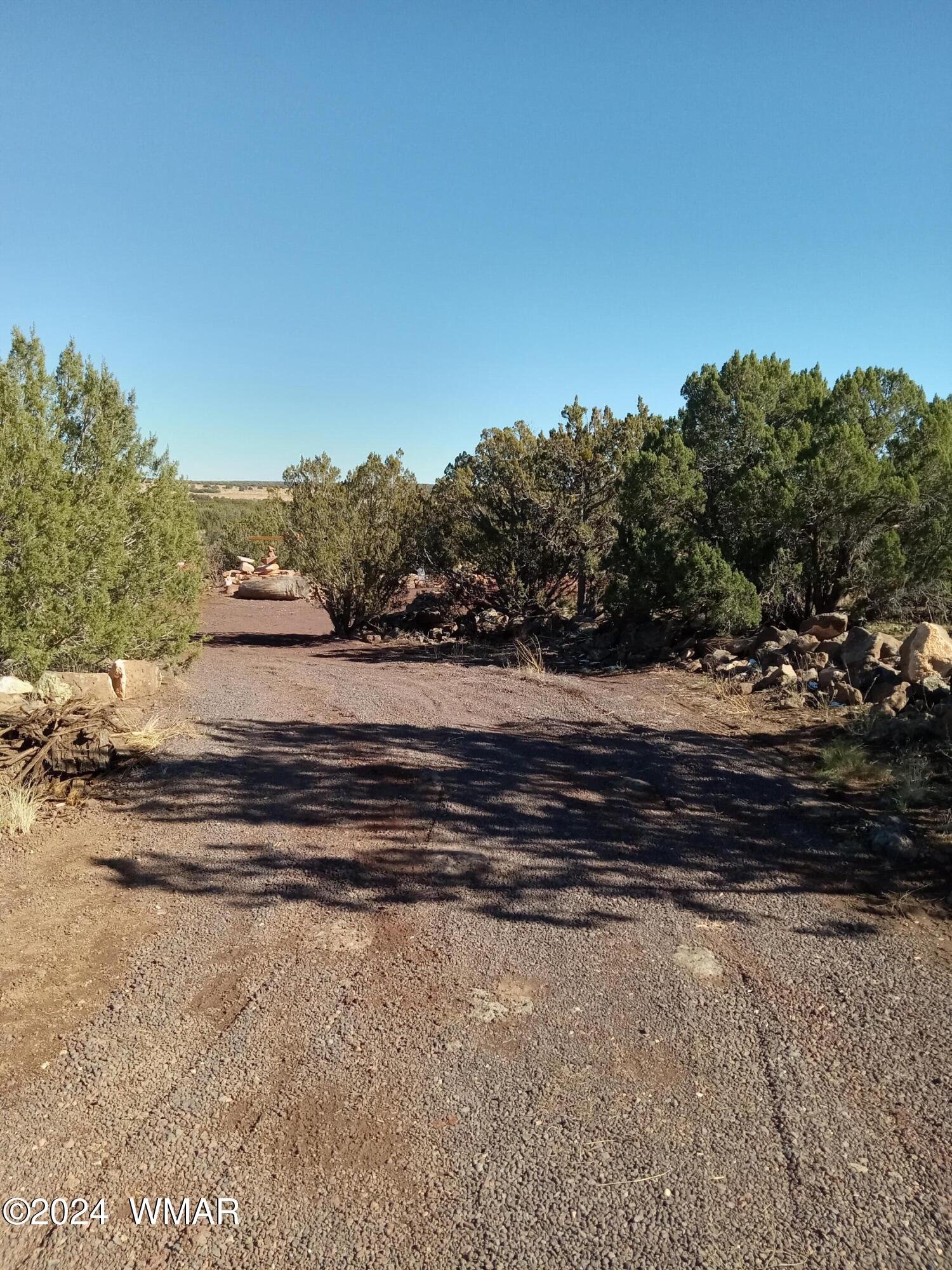 1783 Bemus Place Show Low, AZ 85901 - Photo 2 of 11 20241109_131329
