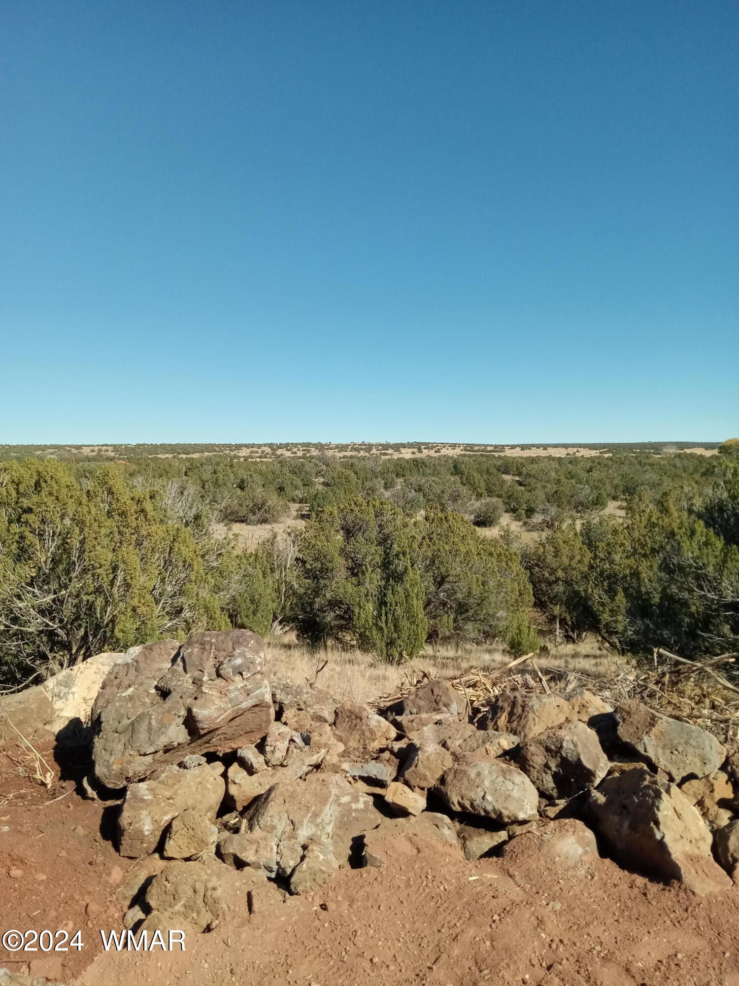 1783 Bemus Place Show Low, AZ 85901 - Photo 7 of 11 20241109_131527