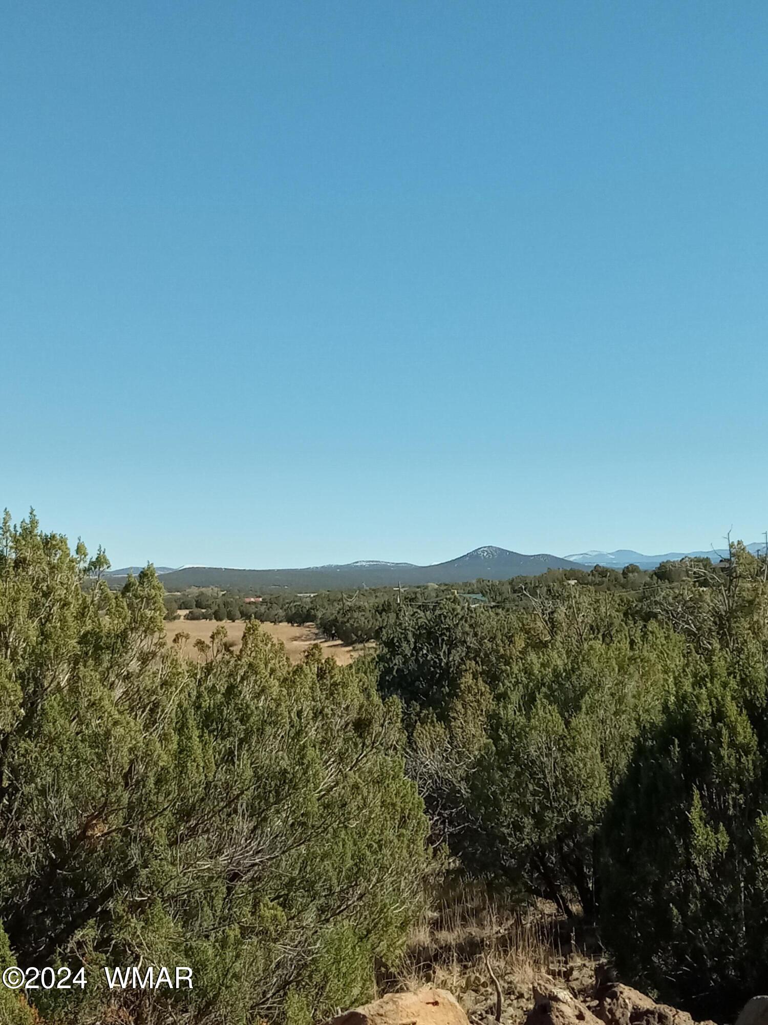 1783 Bemus Place Show Low, AZ 85901 - Photo 8 of 11 20241109_131546