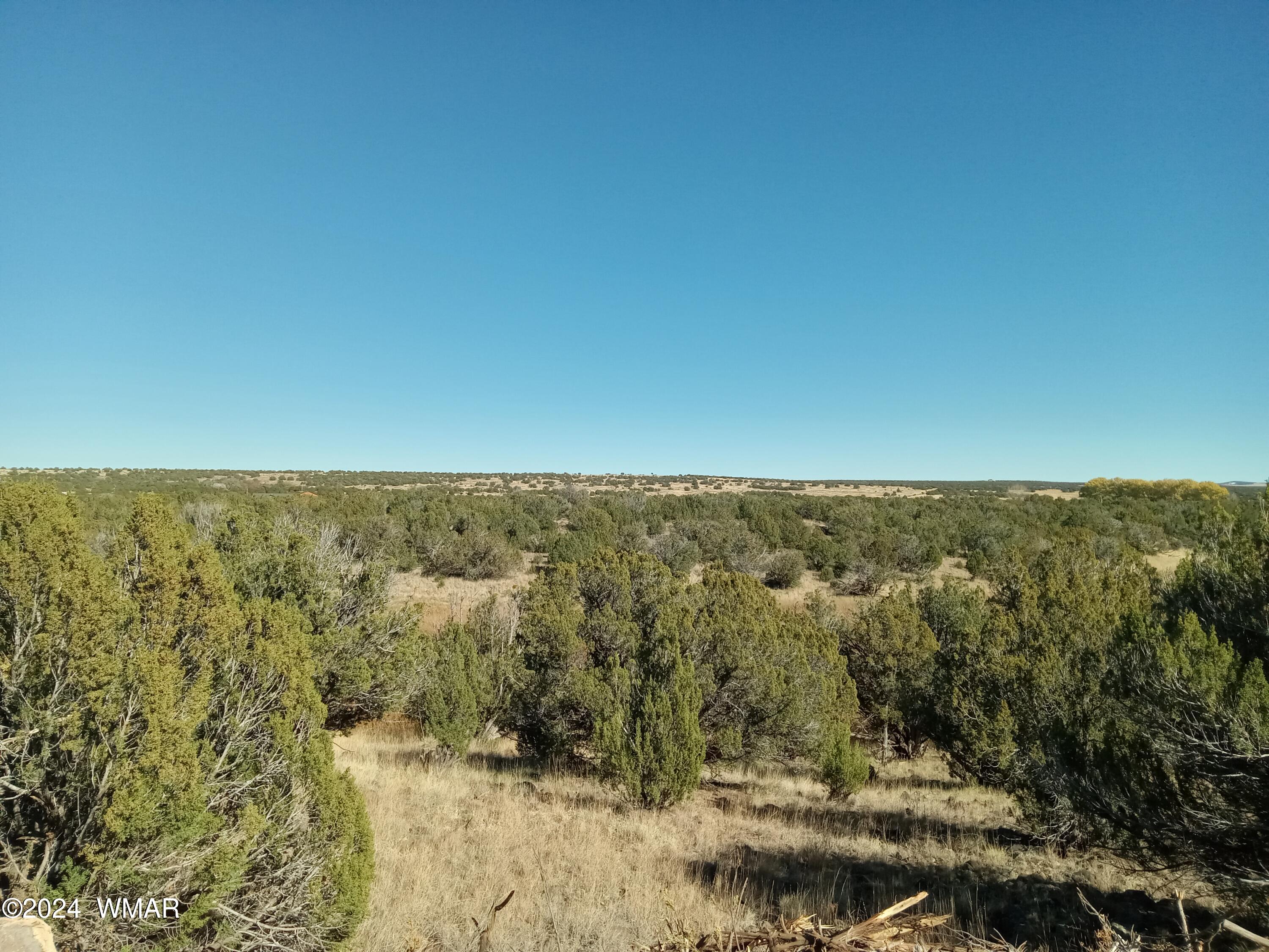 1783 Bemus Place Show Low, AZ 85901 - Photo 9 of 11 20241109_131559