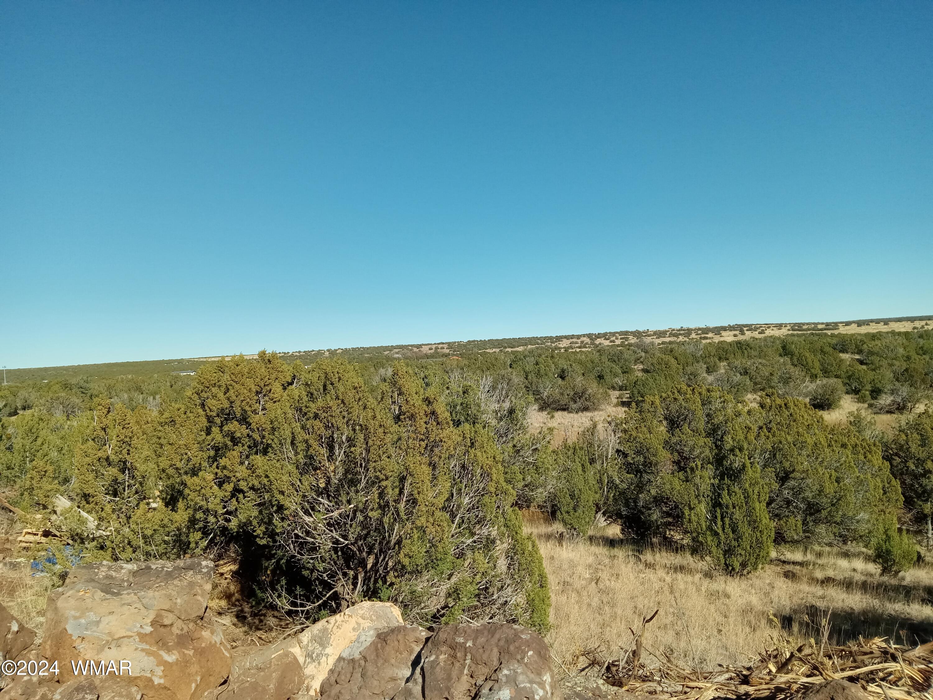 1783 Bemus Place Show Low, AZ 85901 - Photo 10 of 11 20241109_131613