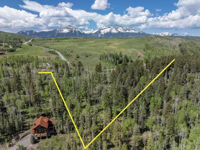 a view of a yard with a dry plant