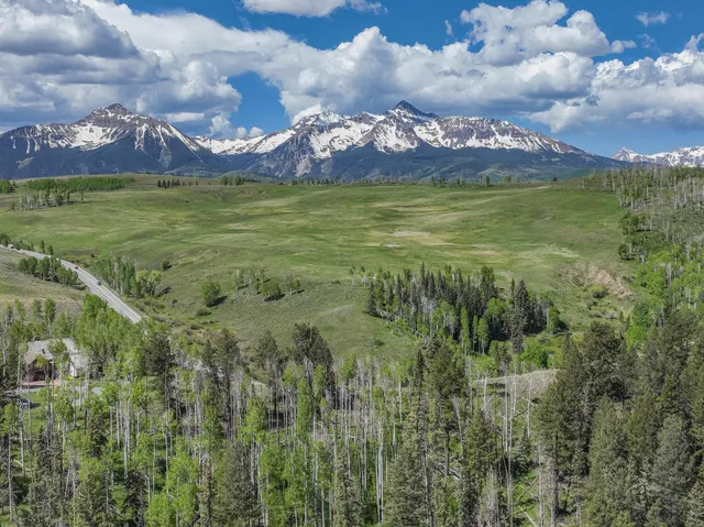 a view of a yard with a house in the background